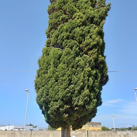 L'Albero Bello Holiday Мадзара-дель-Валло Екстер'єр фото